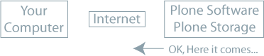 server_response.png