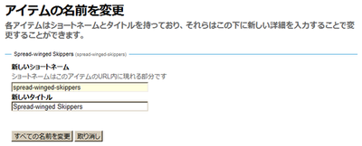 renameitem.png