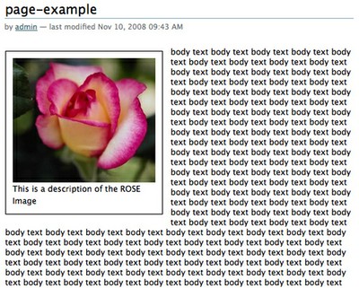 caption_page.jpg