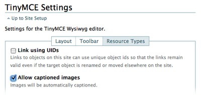 image_caption_settings.jpg